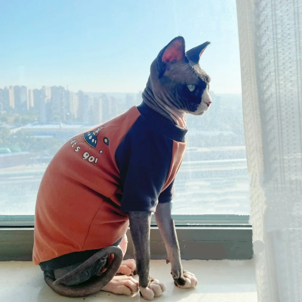 Soft Cotton Coat for Sphynx Cat Spring Long-sleeved Orange Cartoon Warm Sweatshirt for Devon Rex Autumn Pajamas for Kittens