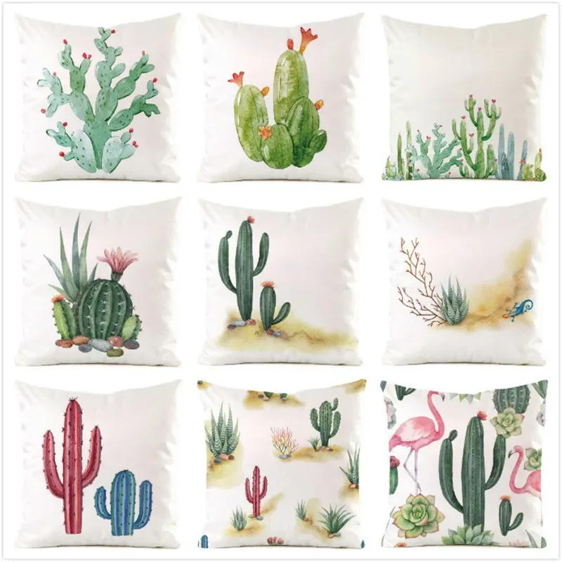 ColeccióN De Cactus… - image