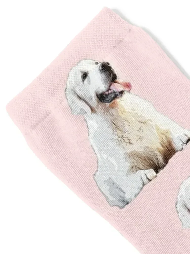 Golden Retriever White Puppy Dog Socks japanese fashion soccer anti-slip christmas gift warm winter Socks Ladies Men's