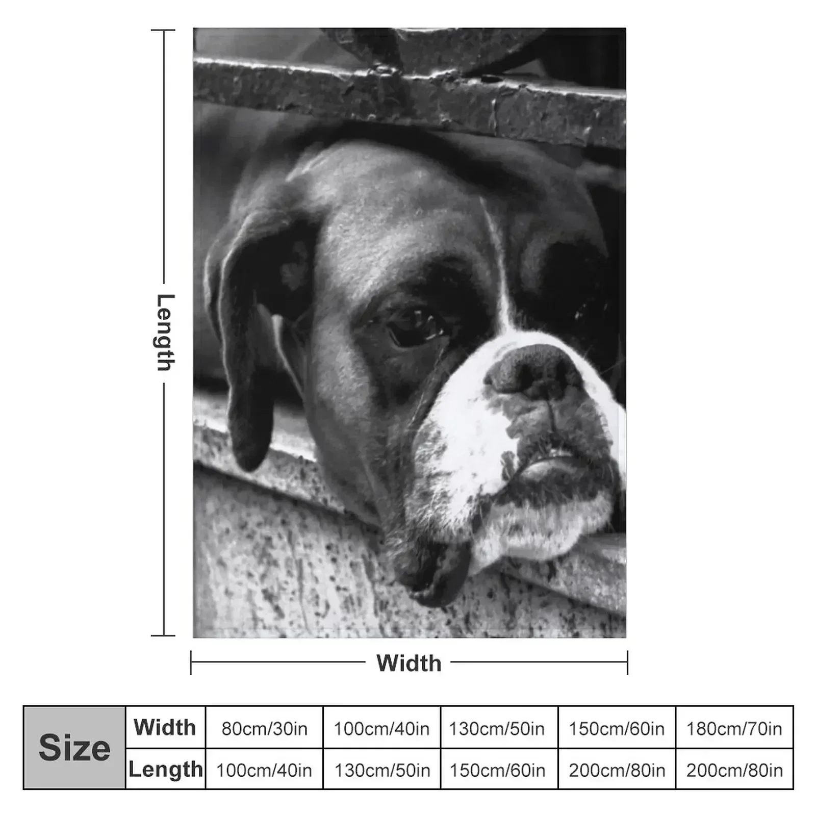 Boxer Dog On Windowsill Throw Blanket Bed Fashionable Blankets For Bed Baby Shaggy Multi-Purpose decorative Blankets