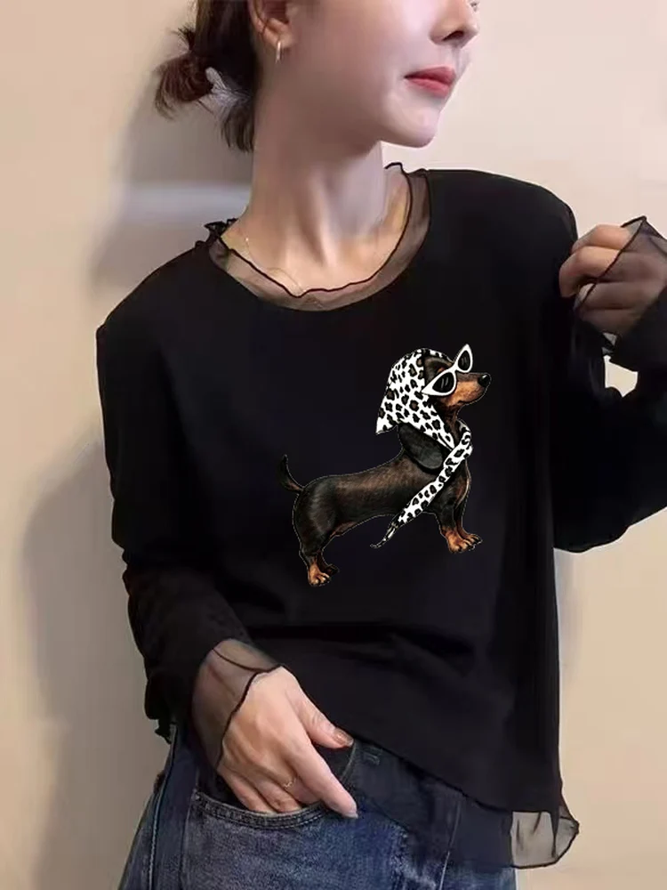 Fashionable Long Sleeve T-Shirt Women's Mesh Lace under Shirt Korean Style Autumn Winter New Style Slimming Top Commute Style