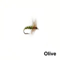 Olive Size16