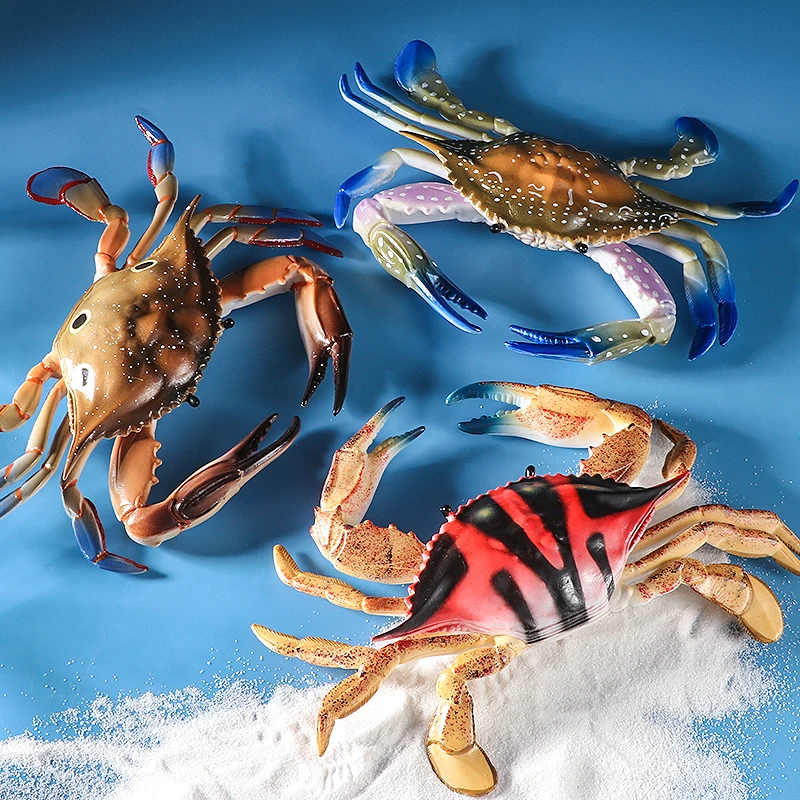 Grande brinquedo de caranguejo vermelho realista simulação sólida educacional oceano vida marinha modelo animal figura-presente de criatura divertida para crianças