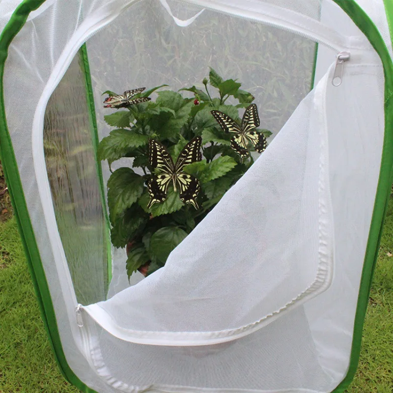 Butterfly cage insect net pet  seedling translucent cultivation box foldable