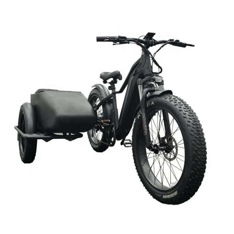 E bike Side Car Adult electric tricycle bicycle 3 wheel ebike  cargo trike 750w hidden lithium battery etrike sidecar