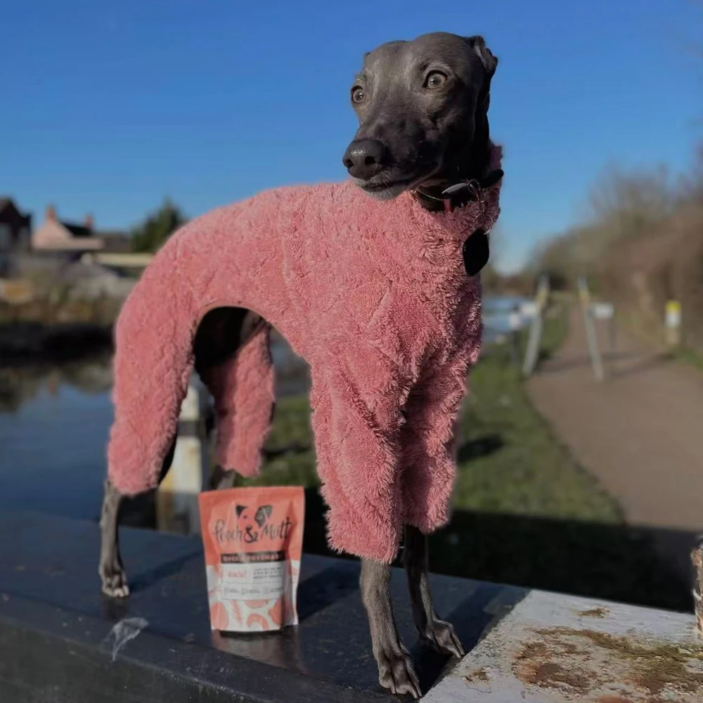 Abrigo invierno grueso cuello alto para galgos y whippet – Forro polar