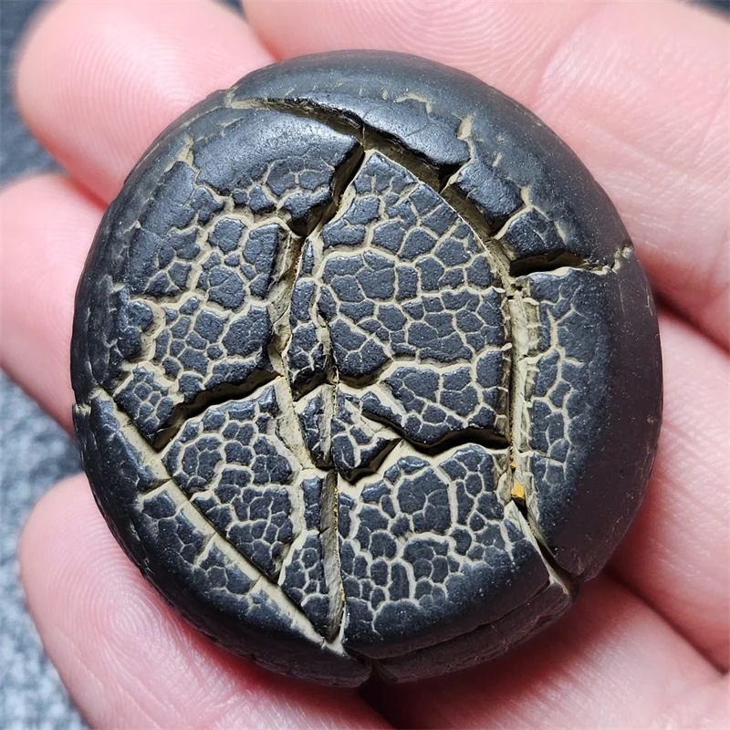 Natural Energy Magic Chakra Stone Palm Toy Mineral Specimen Teaching Home Decoration