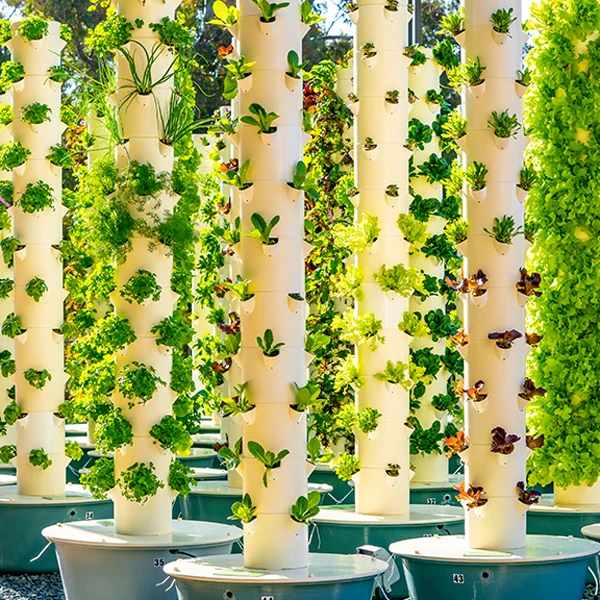 Outdoor Hydroponic Tower Grow - Hydroponic System ulasan dan harga