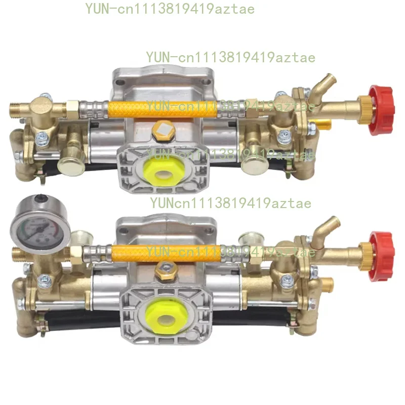 All-Copper Plunger Pump Assembly; Sprayer Plunger Pump Parts; Includes Pressure Gauge; Compatible with 1100W Motors