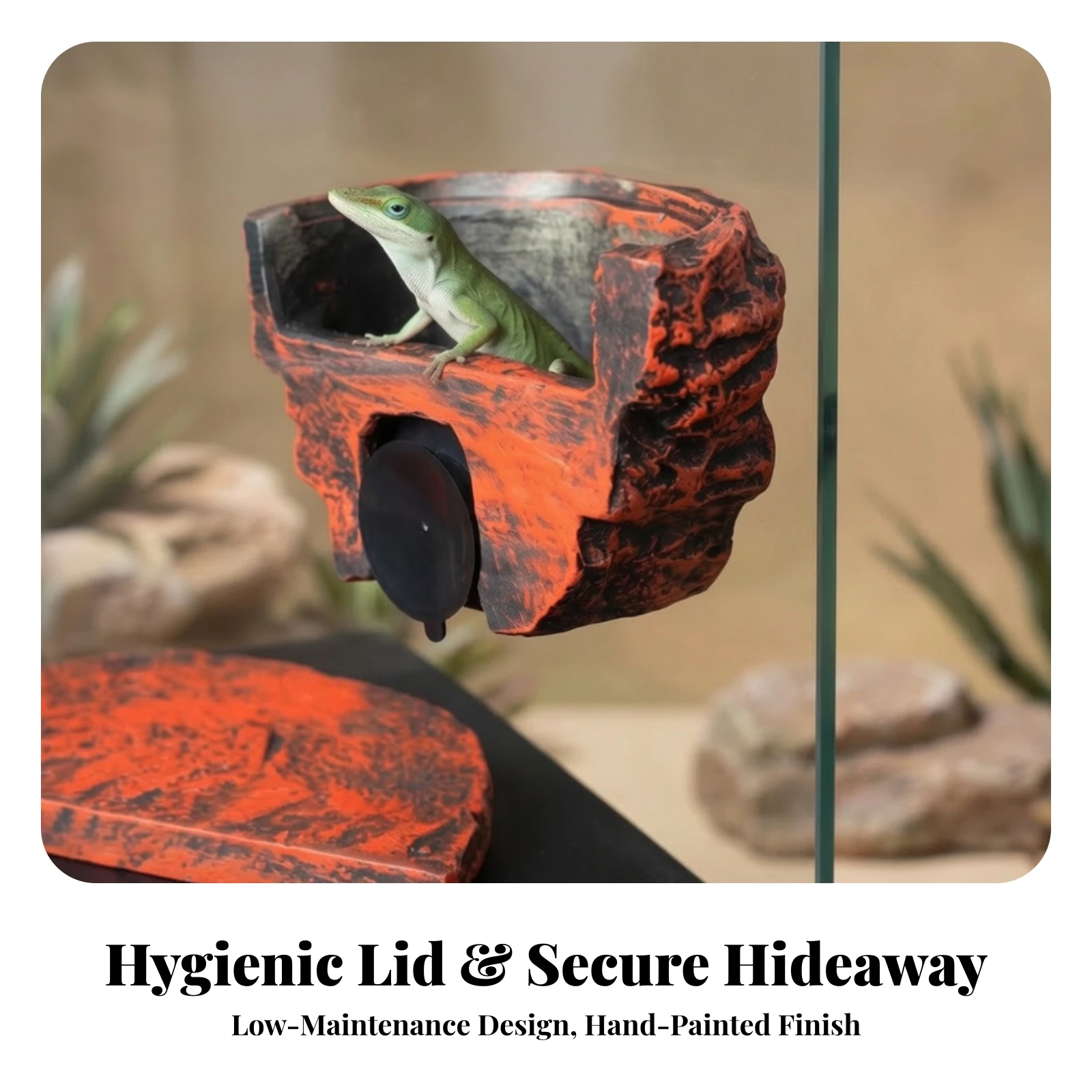 Terrarium Cave Textured Rock Shelter with Suction Cup Pet Supply Wall-Mounted for Geckos, Terrarium