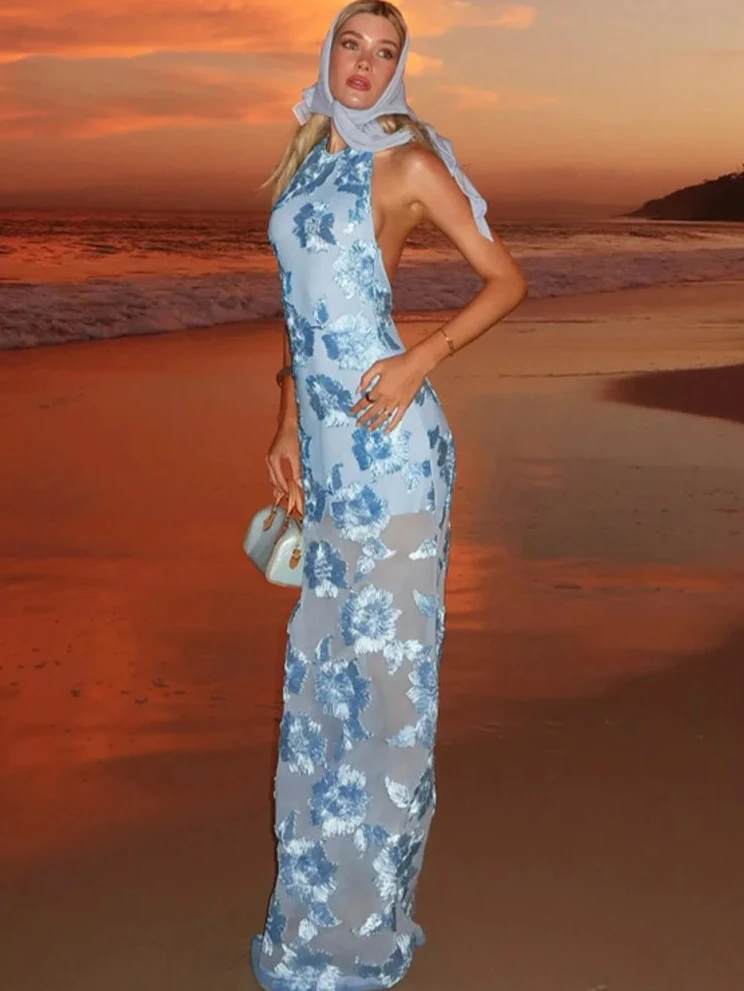 

Women's Sparkle Print Maxi Dress, See Through Halter Backless Sexy Gown, Elegant Sleeveless Beach Club Party Dress