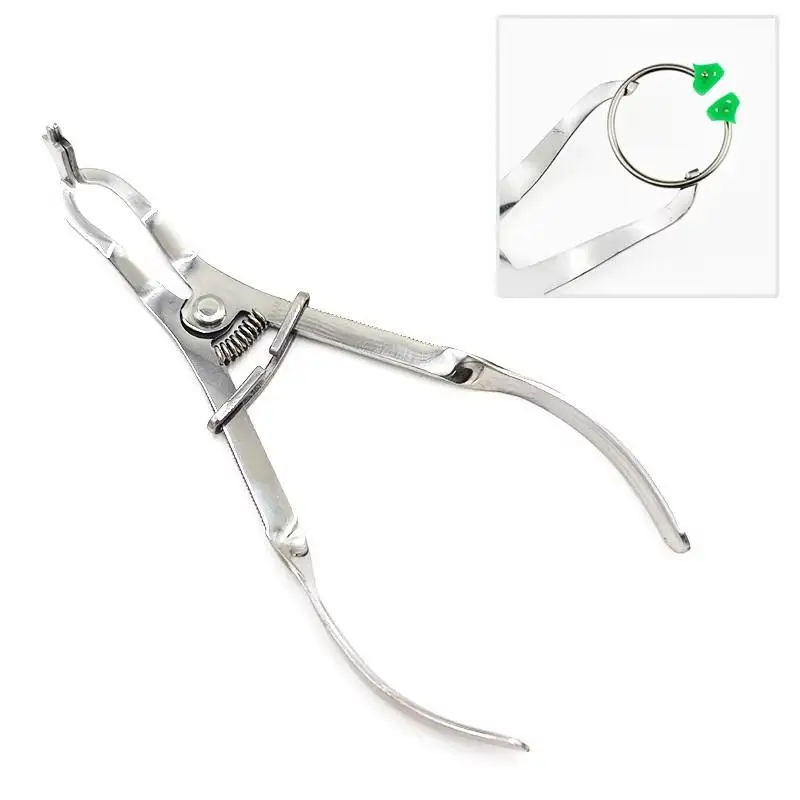 Dental Clinic Restoration Instrument Repair Part Stainless Steel Sectional Contoured Matrix Band Forming Pliers Matrices Forceps