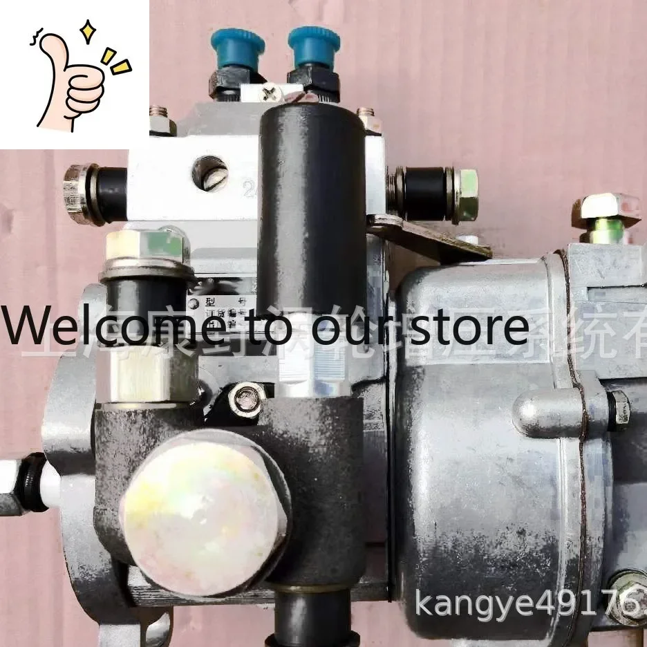 2-Cylinder Fuel Injection Pumps 2I253 And 2I319 And 2I109 And 2I01 And 2I10 And 2IJ01 And 2IJ20, Etc