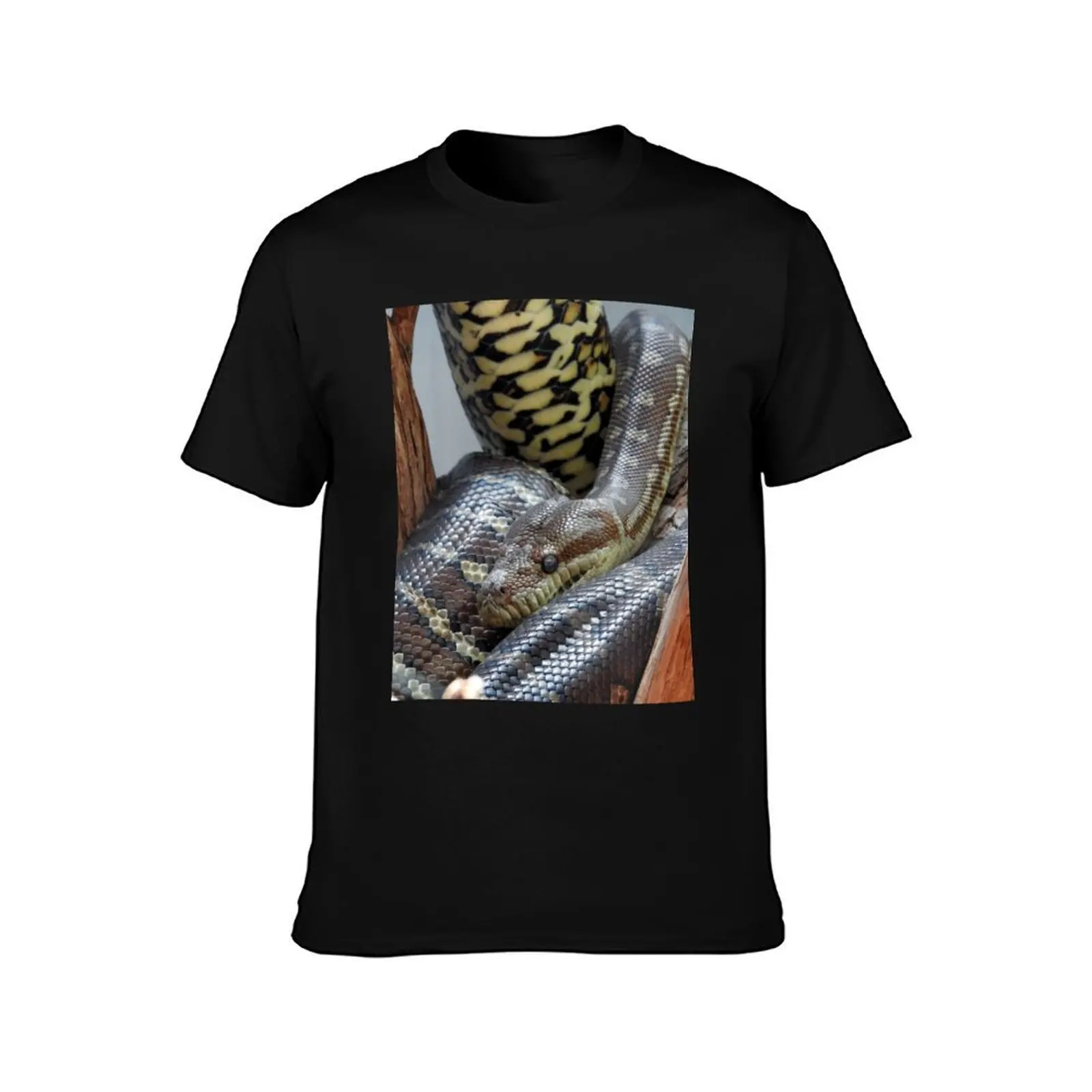 Centralian Carpet Python T-Shirt, Summer Casual Cotton Tee, Oversized Streetwear Tops, Vintage Graphic Print, Unisex Men Women