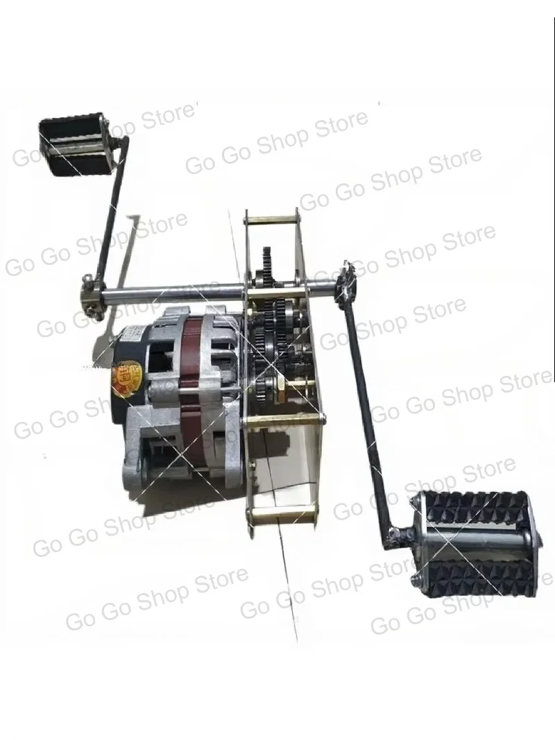 DIY Pedal Generator Brushless 12V 24V 2000W 220V 800W High Power DC Battery Charging AC Permanent Magnet