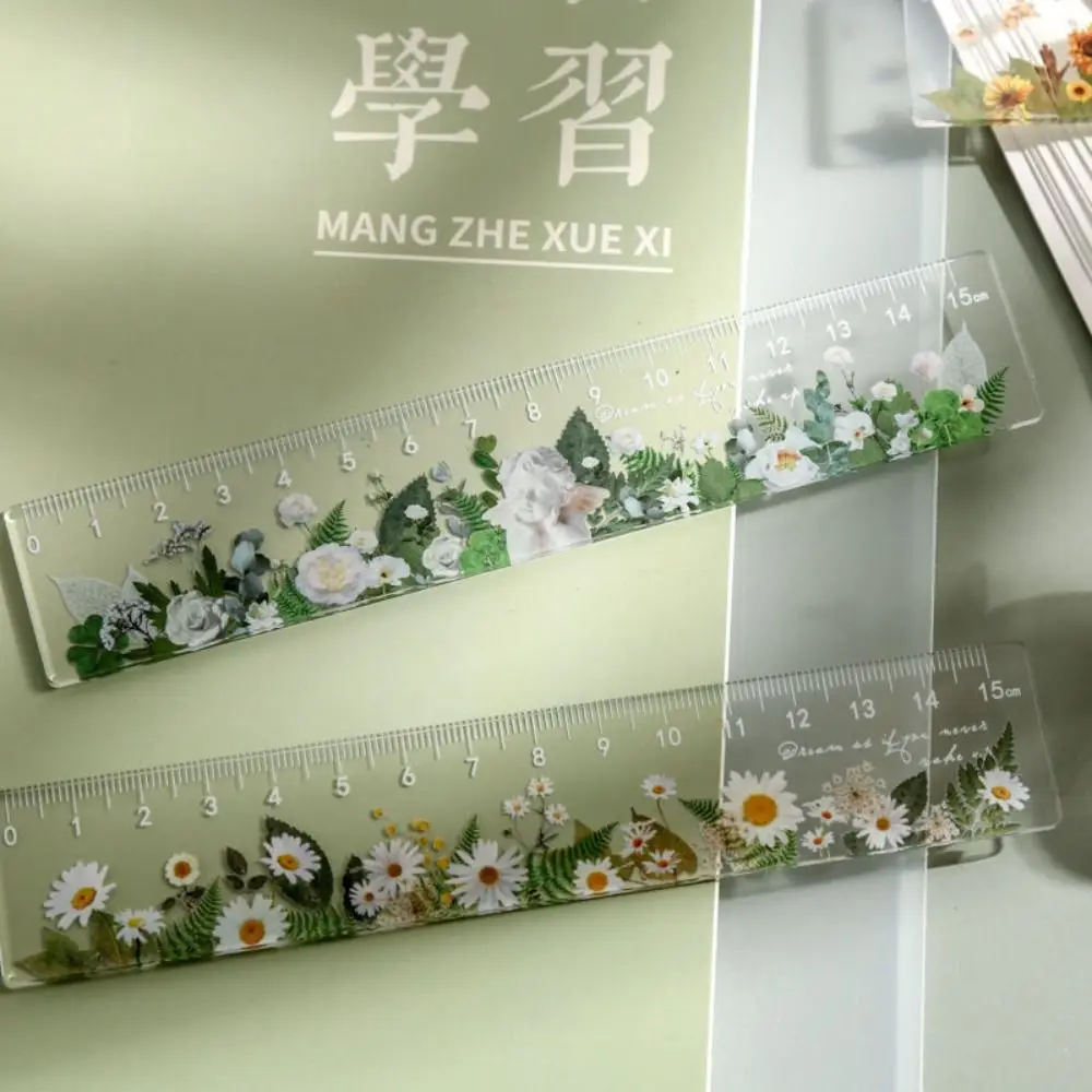 Multifunction 15cm Straight Ruler Double-duty Transparent Math Drawing Ruler Daisy Rose DIY Drawing Tools Stationery