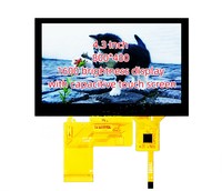 4.3 Inch IPS High Definition LCD 800*480 High Brightness Industrial Control 1600 Brightness Display With Capacitive Touch Screen