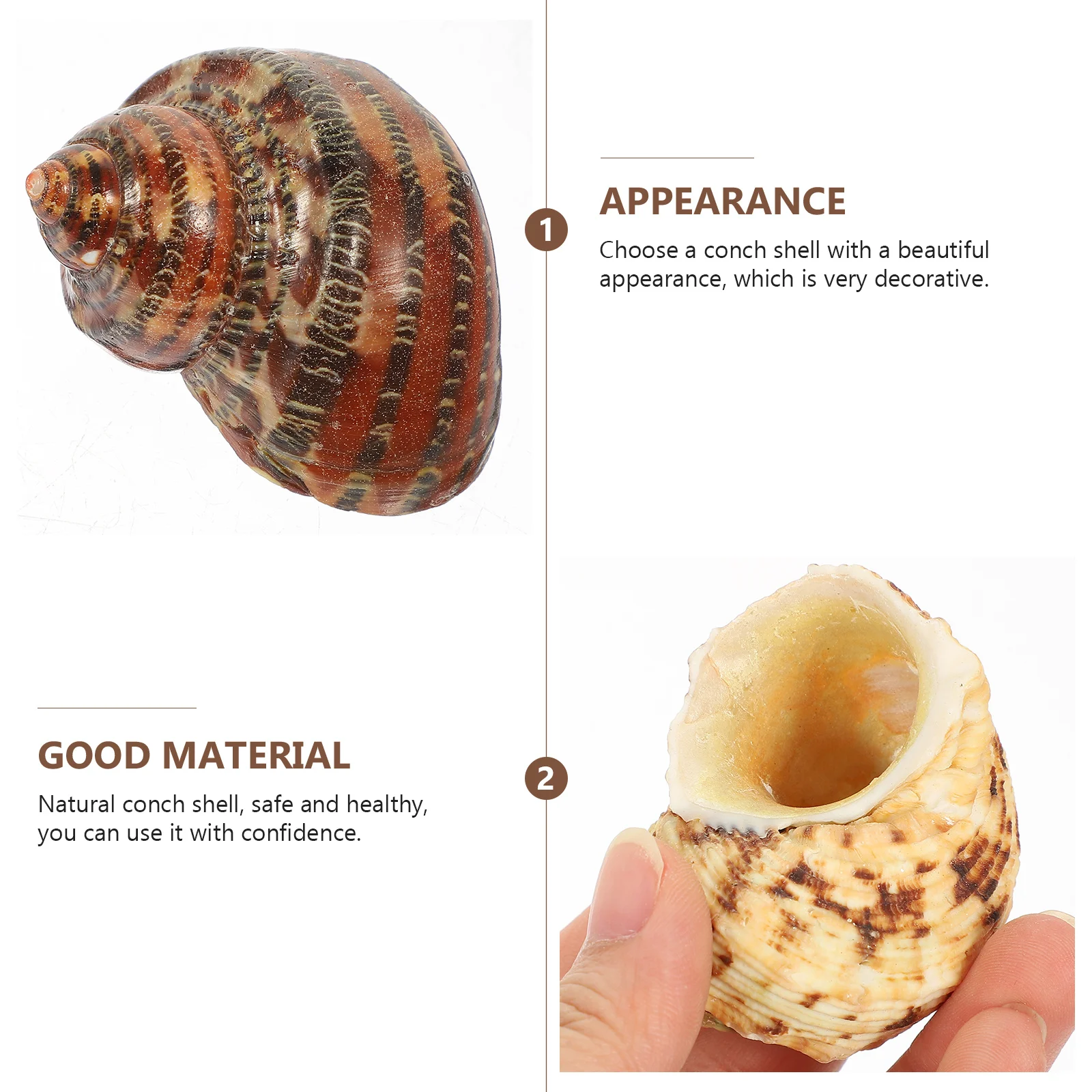 

1Set Natural Seashell Decor for Fish Tank Conch Ornament Aquarium Landscaping DIY Material Safe Non-Toxic Habitat Shelter