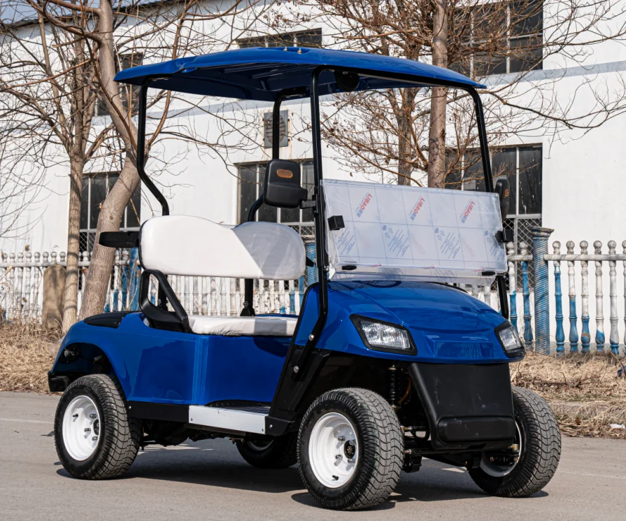 Meistverkaufter Elektrischer O – Golf Equipment Sales Bewertung und Preis