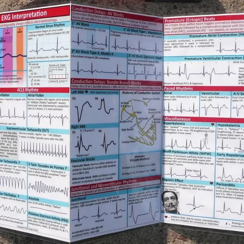 بطاقات الجيب الإيقاعية، بطاقة الجيب، تخطيط أفقي ورأسي، دليل مرجعي مدمج للاستخدام في المستشفى