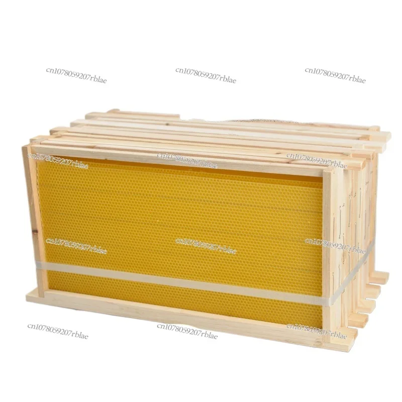 China Bee Finished Nest Frame, 10 Packs of Beekeeping Tools