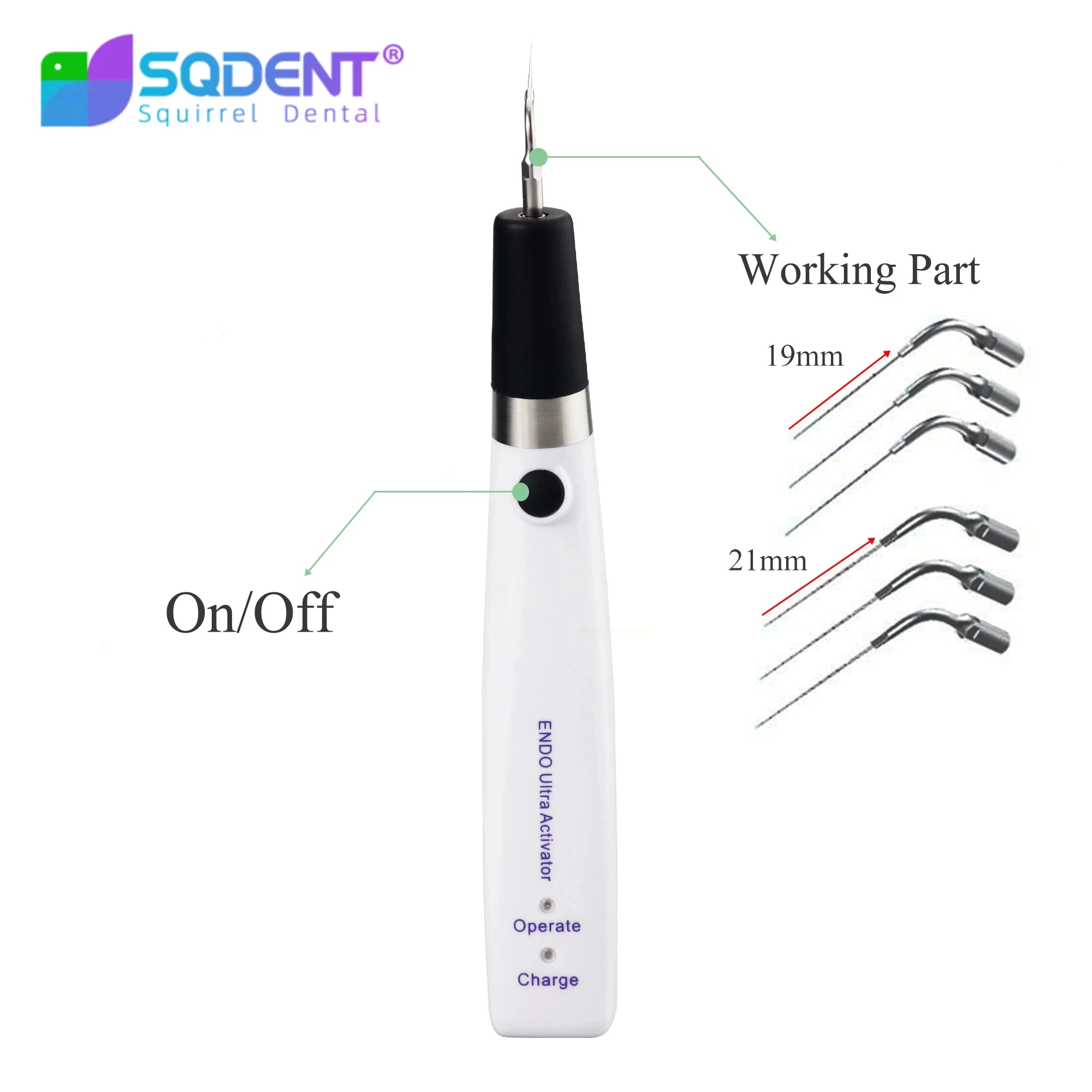 SQDENT Dental Endo Ultra Activator Endo Irrigator Cordless Ultrasnoice Activetor Handpiece With 6 Tips 40-40Hhz 1500mAh