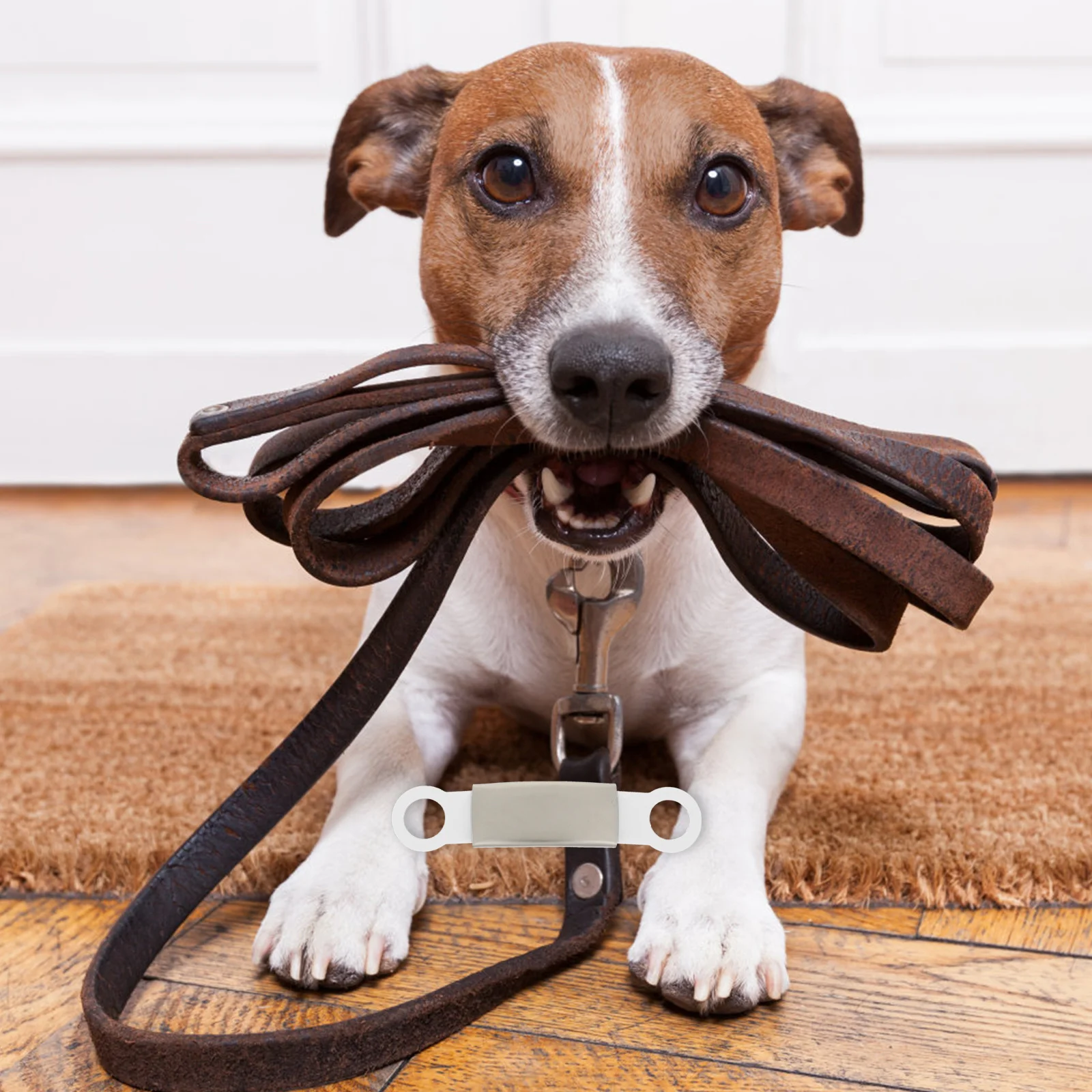 

5pcs Pet Name Tags For Dog Cat Collar Accessories Stainless Steel Anti-Lost Id Tag Engraved Name Phone Durable Decorative Tags