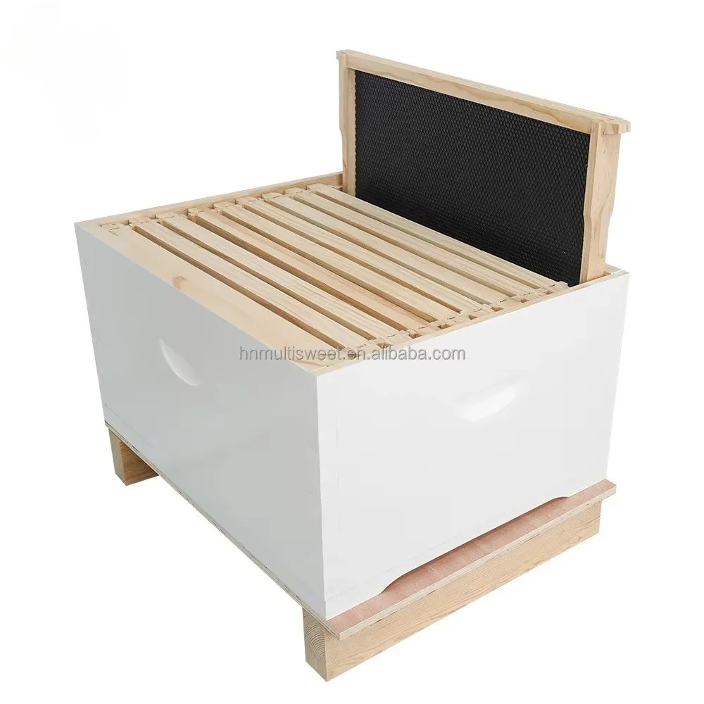 Complete White Painted Australian Beehive Kit, Bee Hive with Frames and Foundation Sheets