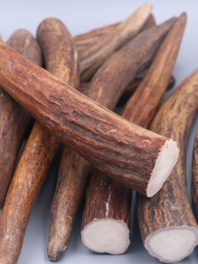Natural High-Density Solid Antler Tip Carving Material Three-Way Connector for Crafts, Beads, Hairpin Material Raw Material