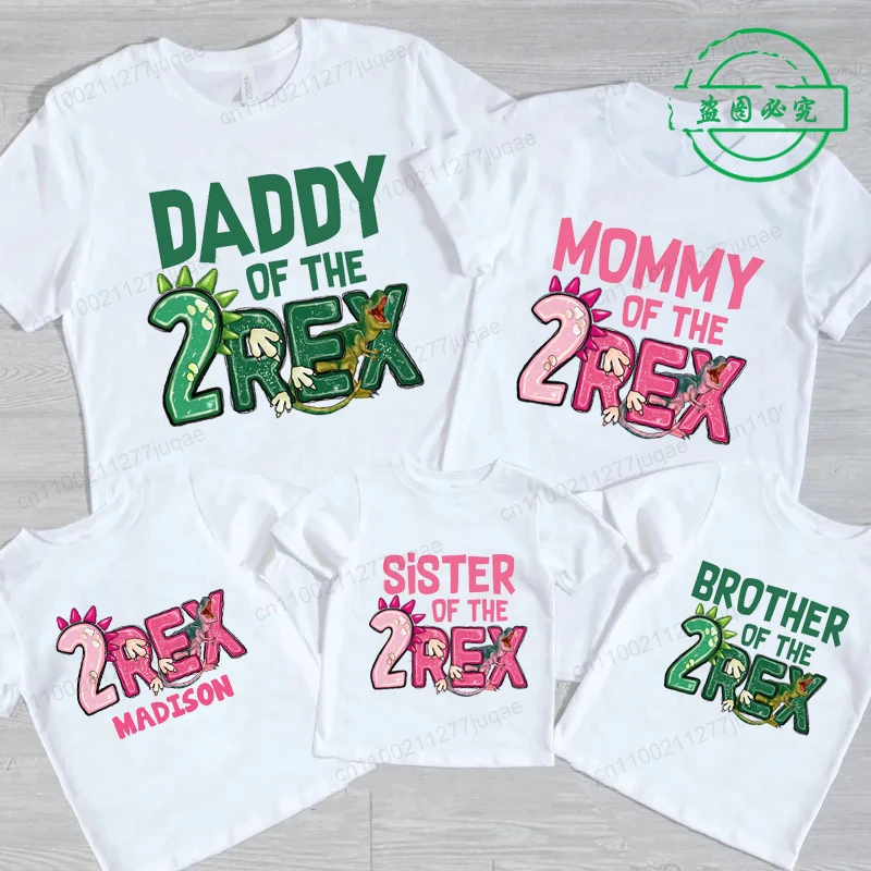 Personalized Two Rex Dinosaur Family Birthday Shirts - Matching Birthday Tee - Mom, Dad, Brother, Sister Dinosaur Theme Shirts