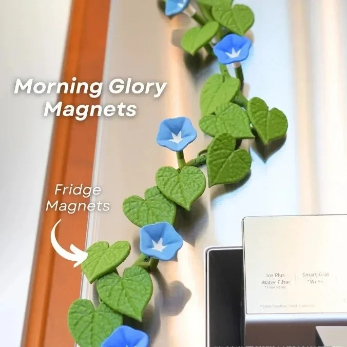 Magneti da frigorifero Morning Glory stampati in 3D, magneti da frigorifero con...