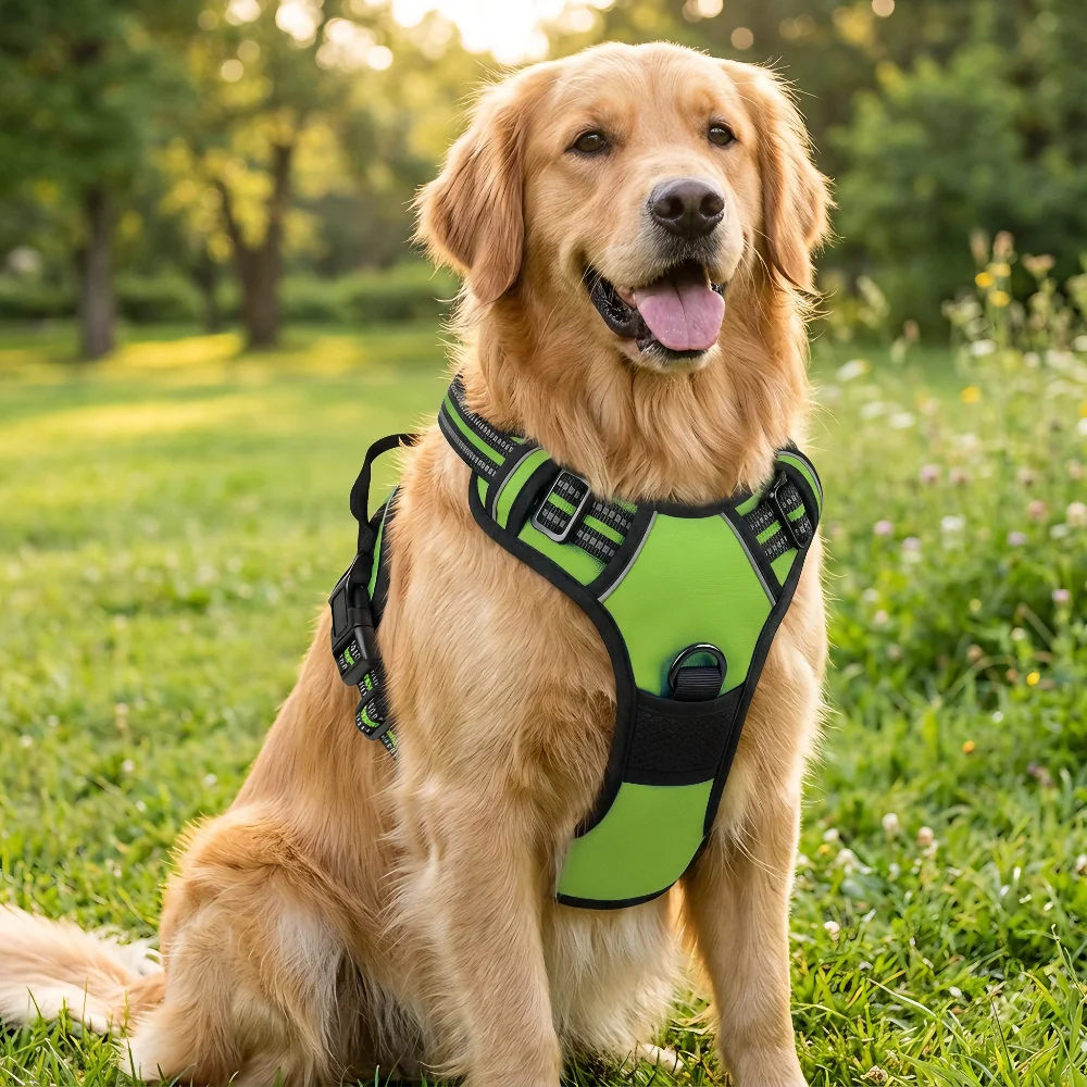 Hundegeschirr, das das Ziehen verhindert, Brustgeschirr für Hunde, mittelgroße Hundeweste, verstellbare, gepolsterte Weste, atmungsaktiv, mit reflektierendem Streifen. – Detail 3
