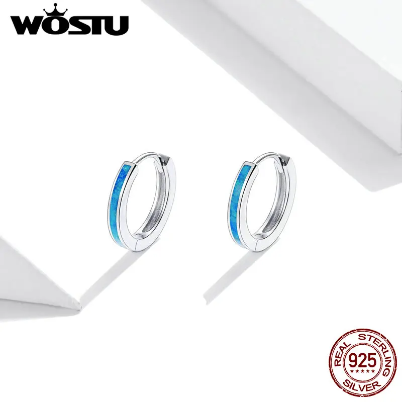 WOSTU Real 925 Sterling Silver Simple Opal Hoop Earrings Blue Circle Earrings For Women Original Silver 925 Jewelry CQE992