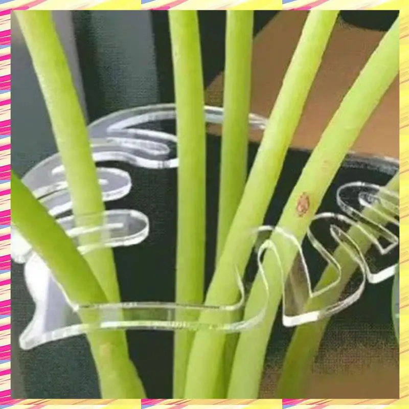 ABJJ Turtle Shell Bamboe Klem Set, Plant Stem Plastic Ondersteuning, Bloemvormige Groene Plant Blad Houder, Schildpad Shell Bamboe