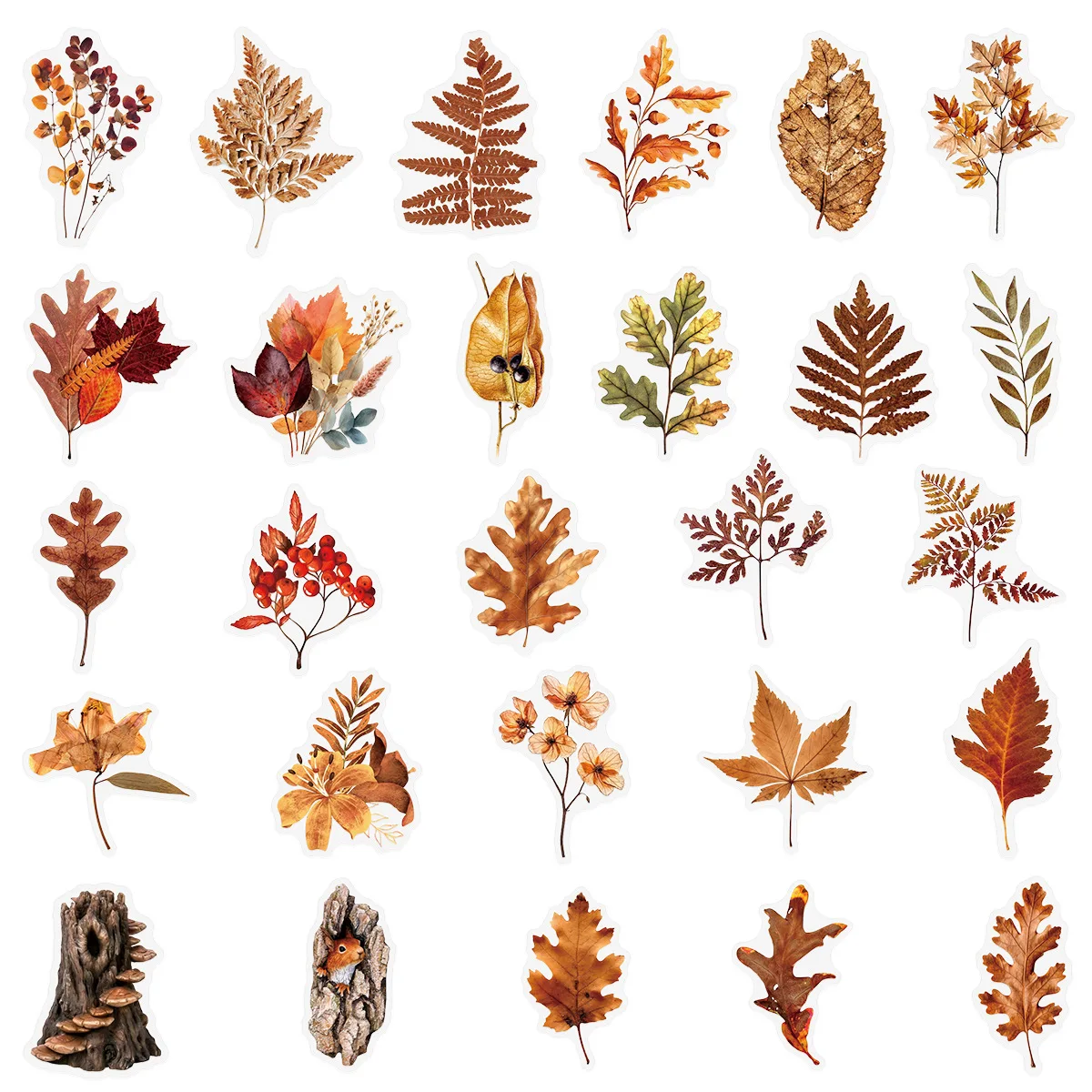 50 Uds Retro seta planta mariposa pegatina impermeable transparente Graffiti calcomanía personalizada DIY taza de agua funda para teléfono móvil