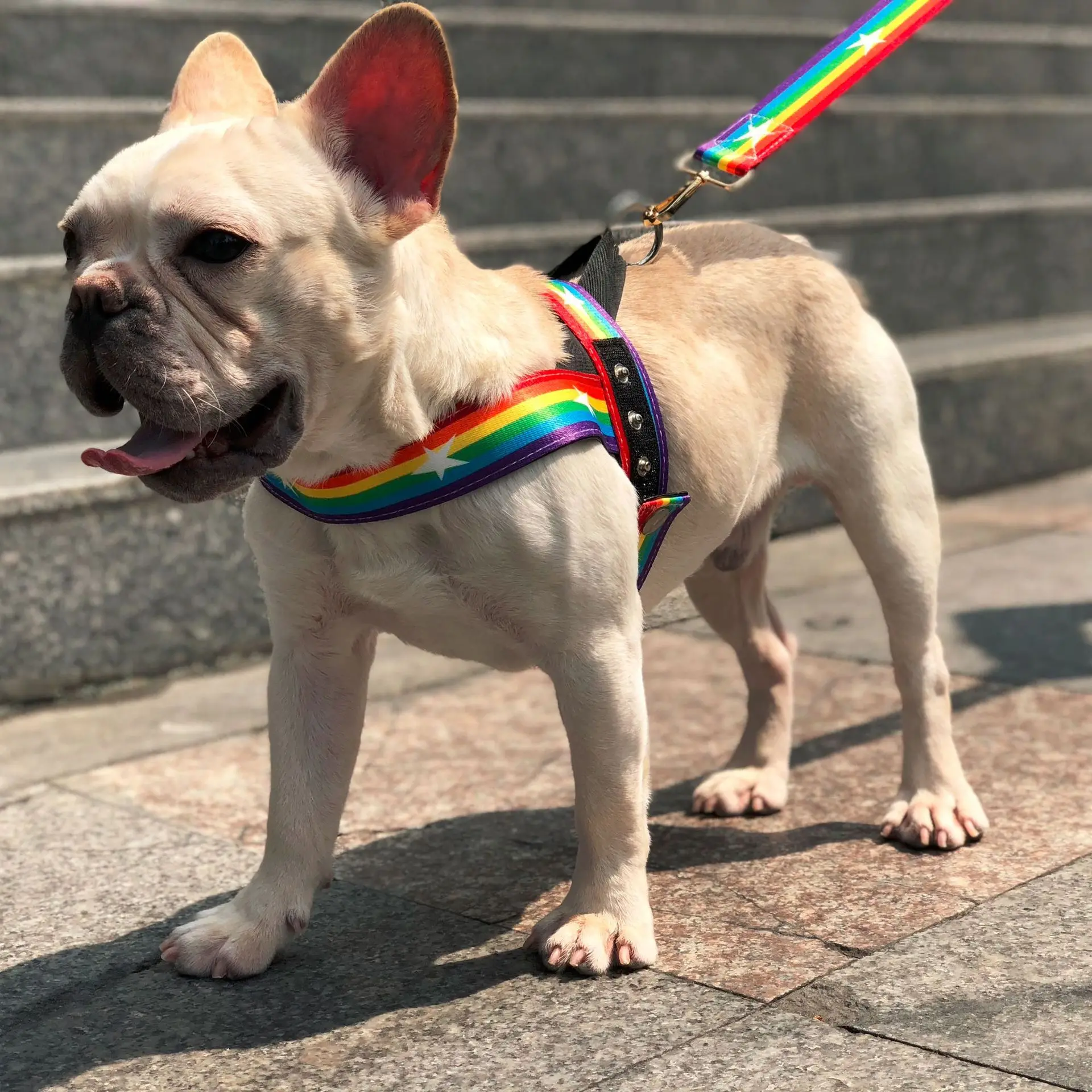 

Rainbow Dog Harness Set with Soft Twill Material, Adjustable Length, Release Buckle, Luxury Dog Leash and Dog Collars