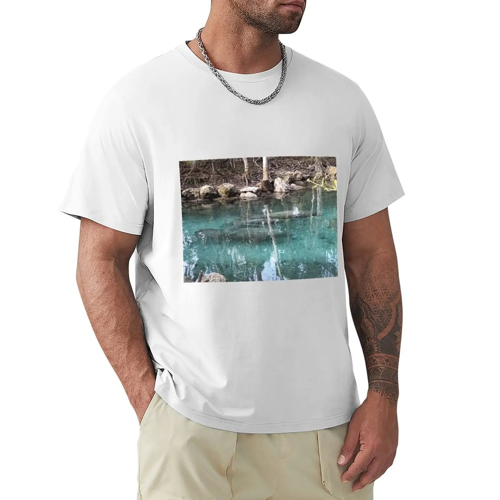 Manatee Winter Migration T-Shirt boys whites Short sleeve tee plain summer top black t shirts for men