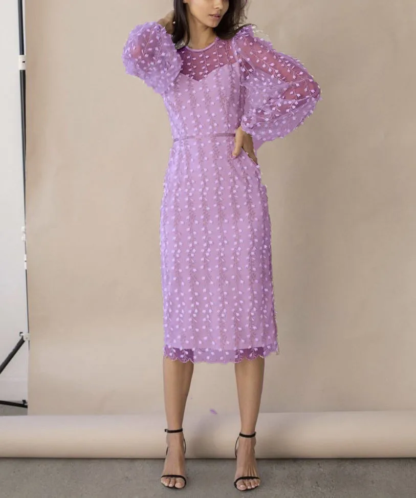 Spring/Summer New Fashion Long sleeved Round Neck Embroidered Mesh Dress For Women