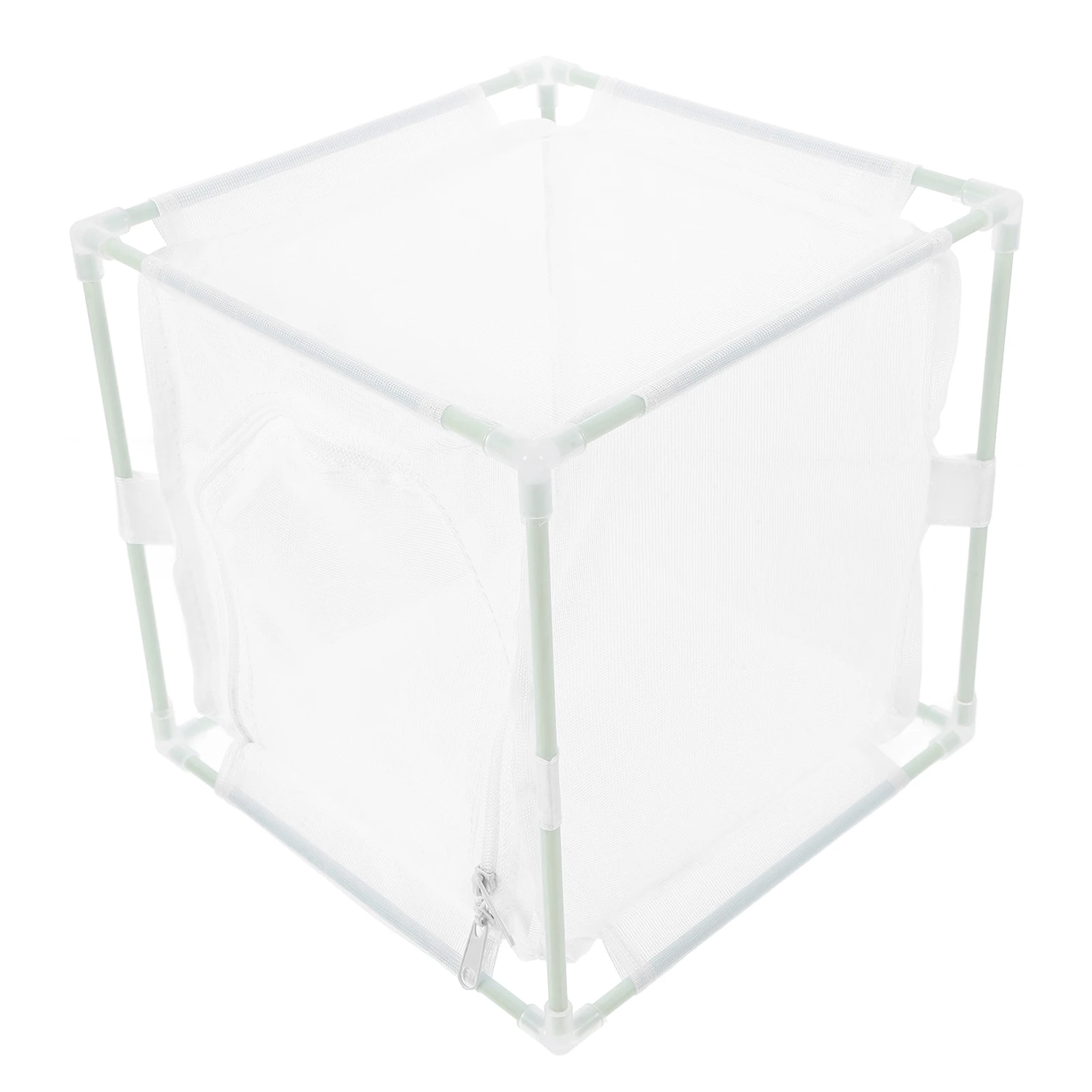 

Insect Hatching Cage Butterfly Habitat Transparent Design Easy Feeding Access Small Critters Cricket Keeper Enclosure Mesh