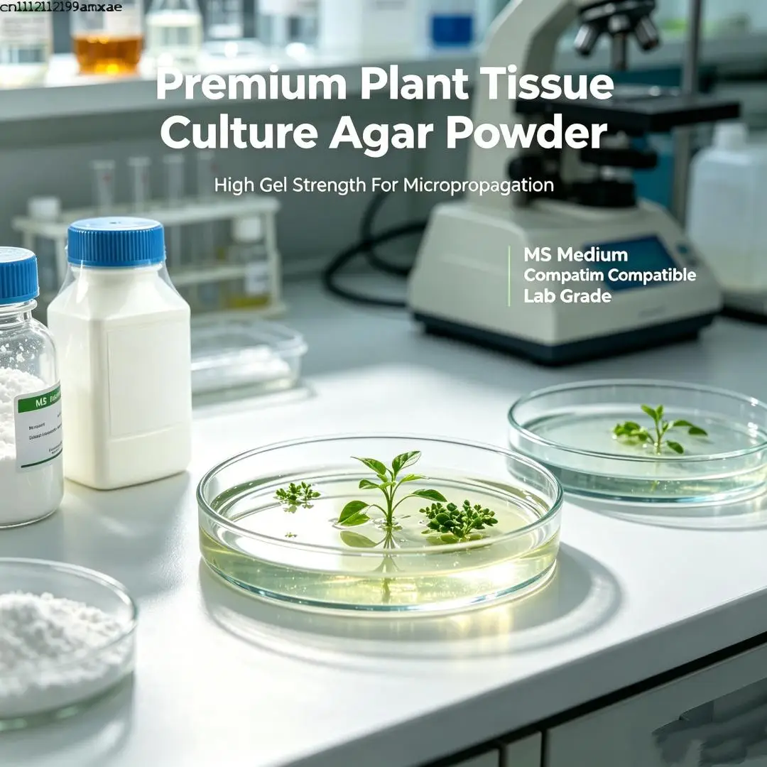 Premium Plant Tissue Culture Agar Powder High Gel Strength For Micropropagation MS Medium Compatible Lab Grade
