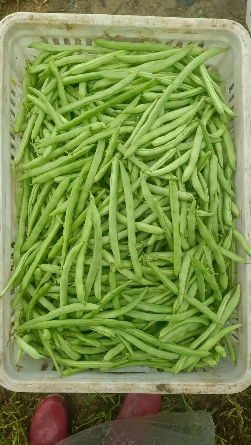 

2.2''130MM*55MM Crawler Rubber Tires for 2.2'' Beadlock Wheels 1/8 Crawler Car YIKONG CROSSRC H8H