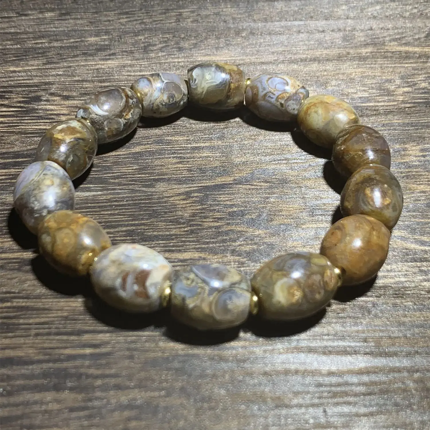 1pcs/lot Natural Conch Rough Stone Bracelet Tibetan conch fossil old ore material Handmade Men's and women's styles jewelry