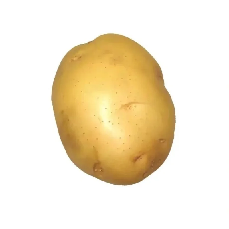 

4PC EJBR02801D EJBR00901Z Common Rail Diesel Injector EJBR02301Z EJBR03601D Nozzle EJBR01901Z for HYUNDAI KIA 33800-4X500