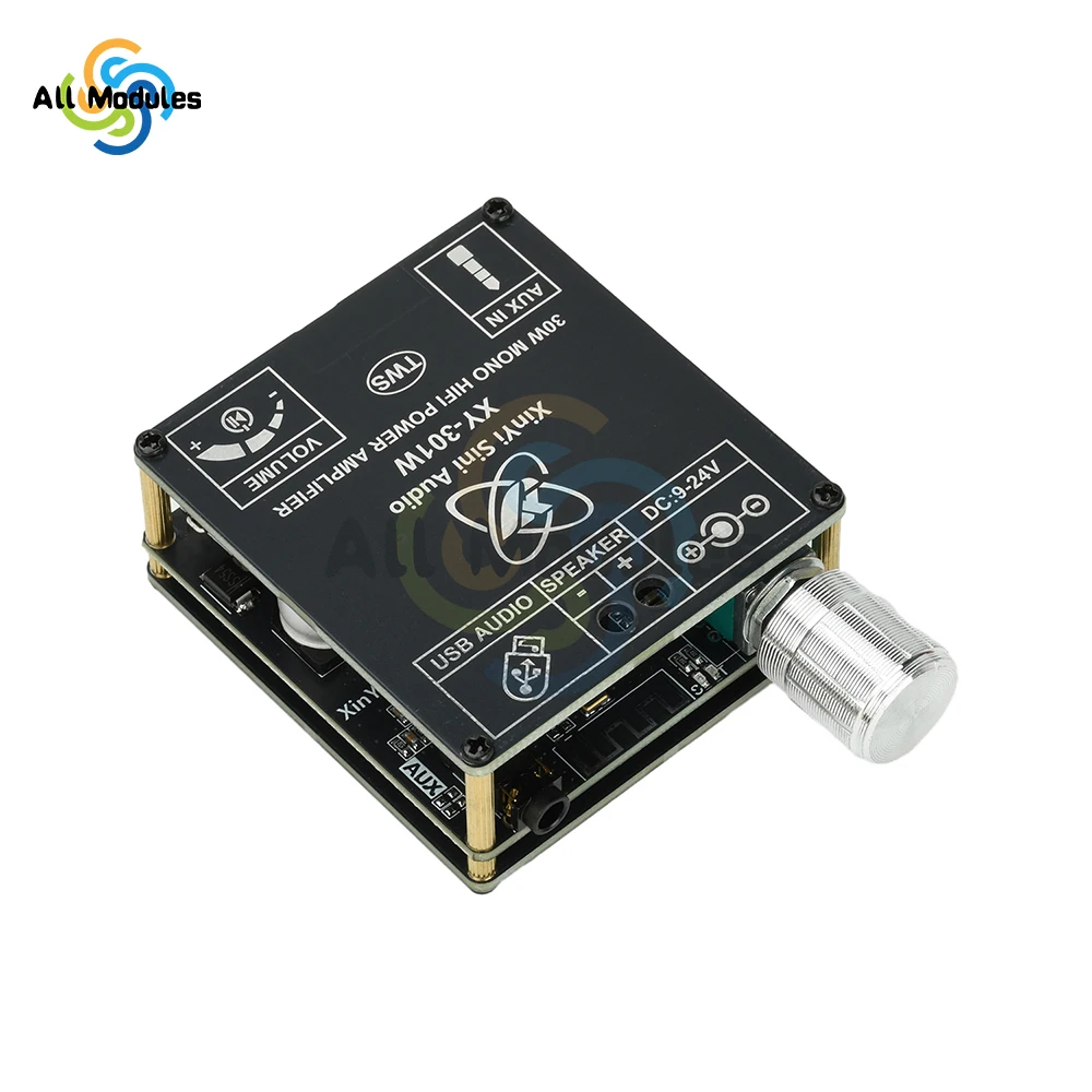 XY-301W Power Ampli… - image