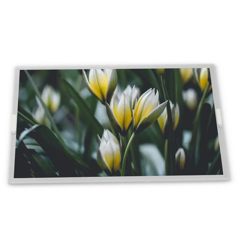 G154IJE-L02 15.4inch LCD Screen Panel Zhiyan supply