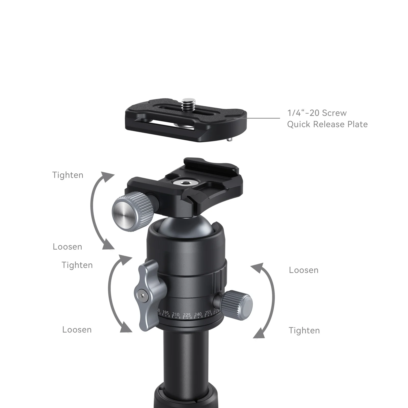 Smallrig-alumínio liga portátil Mini tripé, tripé extensível com bola cabeça para Smartphone, Sony, Canon, Nikon, câmera DSLR