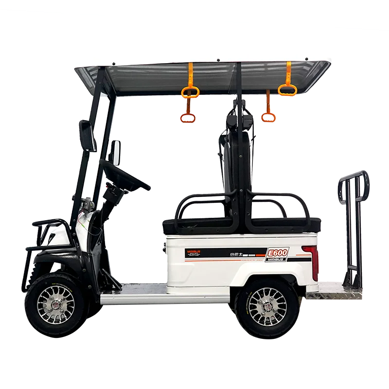 

Cheap Price 650W Electric Club Car 2 Seater Mini Street Legal Golf Carts Battery 48V For Sale