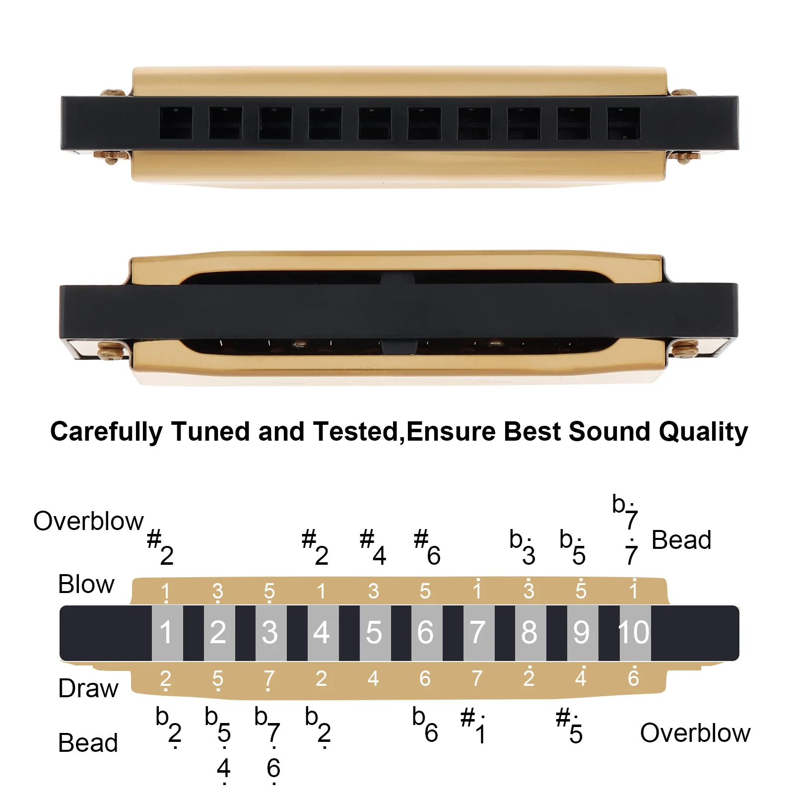 Goud 10 Holes 20 Tone Blues Harmonica Sleutel Van C Roestvrijstalen Mond Orgel Muziekinstrument Voor Professionele Speler Beginner