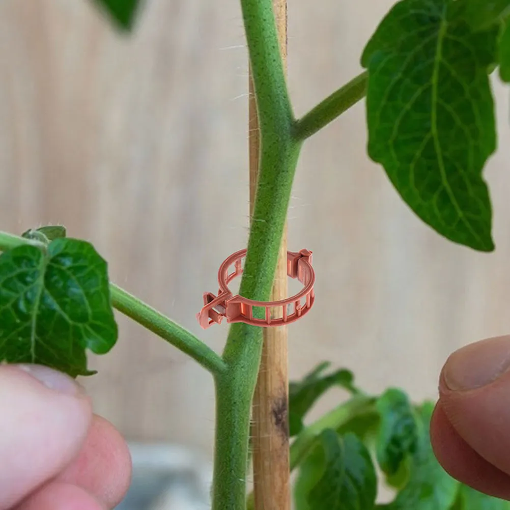 100 Pcs Flower Vine Clips Clamp Garden Plant Plants Greenhouse Tomato Gardening Fixing PP