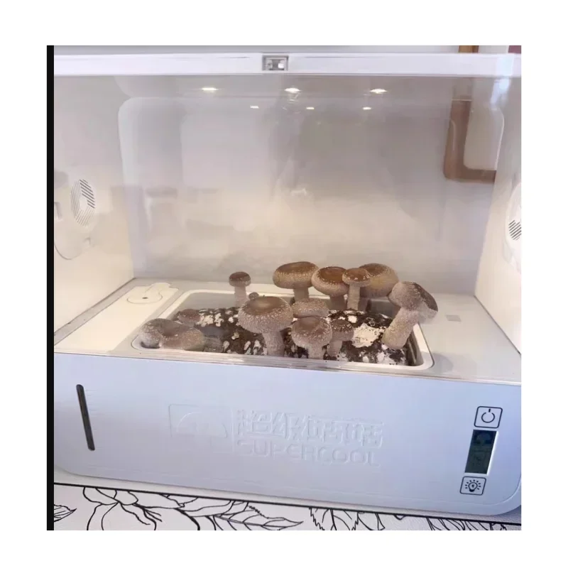 Mushroom Bag Humidifier Planting and Growing Machine Mushroom Seedling Incubation